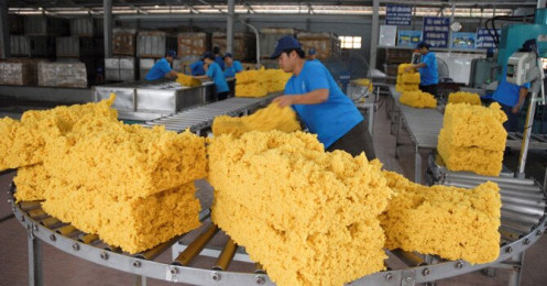 Xuất khẩu cao su chưa thoát khỏi ảnh hưởng của Covid-19