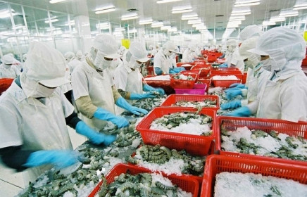 Xuất khẩu tôm vào Australia phải đáp ứng yêu cầu mới nào?