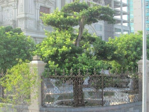 Lâu đài trăm tỷ 'vô tiền khoáng hậu' của đại gia đất Phủ Lý