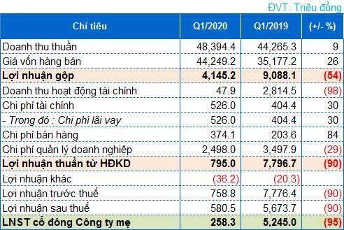 TEG: Lãi ròng quý 1 giảm 95%, cổ phiếu tăng trần 7 phiên liền