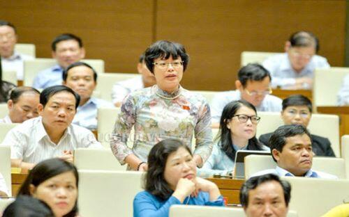 Hiệp định EVFTA: "Đừng để tiệc thì người khác ăn, nợ chúng ta gánh"