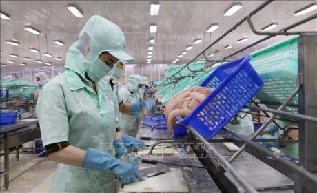 Do COVID-19, ngân hàng giữ lại lợi nhuận hoặc chia cổ tức bằng cổ phiếu