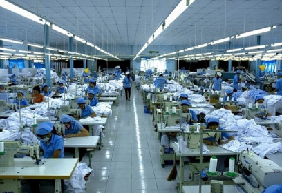 Gilimex đặt kế hoạch lợi nhuận 2020 sụt giảm