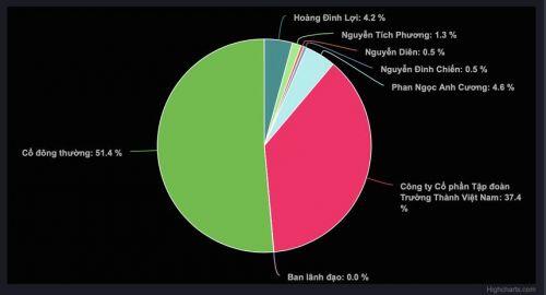 Kế hoạch kinh doanh đột biến, Bất động sản Trường Thành (TEG) phi mã 99% trong 2 tuần