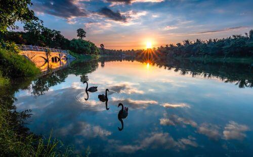 Ecopark lọt top 3 chủ đầu tư bất động sản uy tín nhất năm 2020
