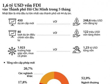 1 6 tỷ USD vốn FDI đổ vào TP HCM trong 5 tháng đầu năm