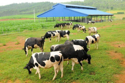 GTN - Vùng kháng cự 17,500-18,000 khá quan trọng