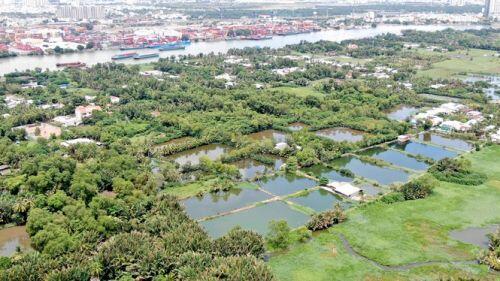 Bên trong 'siêu' đô thị bị quy hoạch treo gần 30 năm giữa lòng Sài Gòn