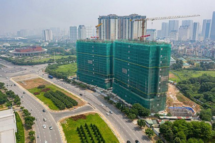 Kusto có đúng luật khi triệu tập ĐHĐ cổ đông bất thường?