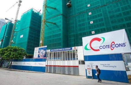 Coteccons: 14 cổ đông nắm 51% cổ phần biểu quyết phản đối tổ chức đại hội trực tuyến