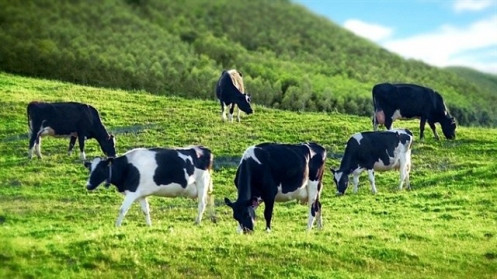 Lâm nghiệp Sài Gòn đăng ký thoái sạch vốn tại GTNFoods