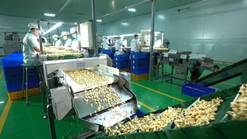 Thời cơ mới cho xuất khẩu điều từ Hiệp định EVFTA