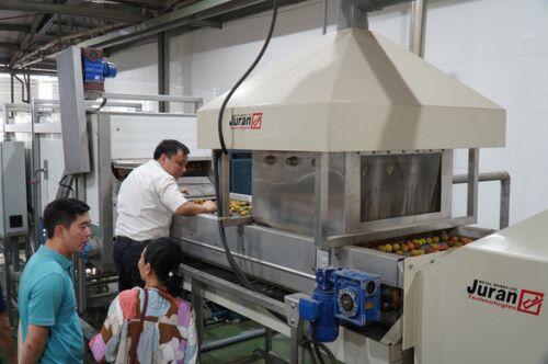 Xuất khẩu 1 tấn vải thiều tươi đầu tiên sang Nhật Bản