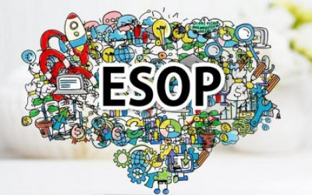 ESOP - Bao nhiêu là đủ?