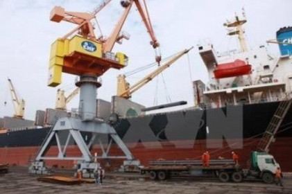 Công ty mẹ - Vinalines chốt ngày 8/8 Đại hội cổ đông lần đầu