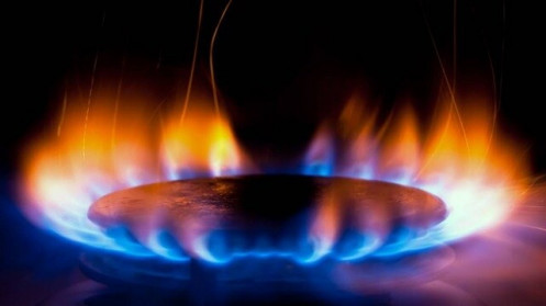 Lãi 6 tháng đầu năm của CNG giảm 67% so cùng kỳ