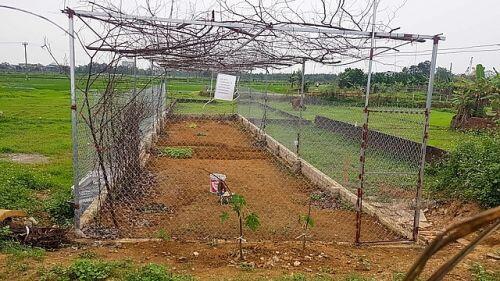 Xôn xao bất động sản Hòa Lạc sốt trở lại sau khi có quy hoạch chung