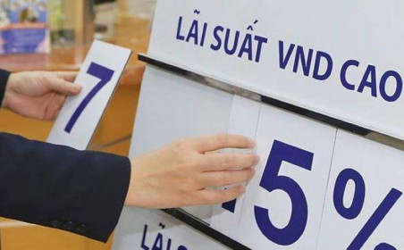 Nhu cầu vay vốn đang rất thấp
