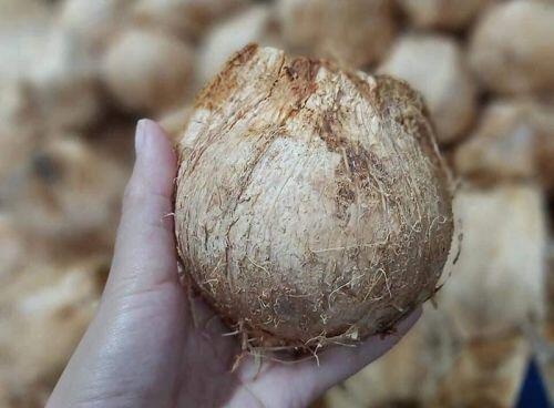 4 loại quả bé như nắm tay, giá ngất ngưởng vẫn “cháy” hàng
