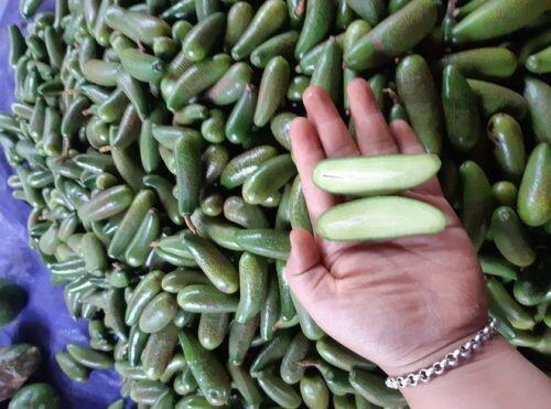 4 loại quả bé như nắm tay, giá ngất ngưởng vẫn “cháy” hàng