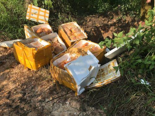 Tạm giữ gần 290 kg trứng gà non không rõ nguồn gốc xuất xứ