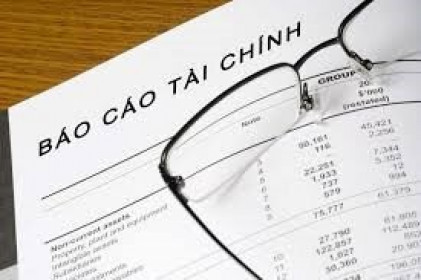 Tác động của các tỷ số tài chính đến đo lường gian lận báo cáo tài chính