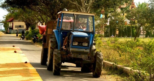 Vì sao kết quả kinh doanh của doanh nghiệp phân bón lạc quan?