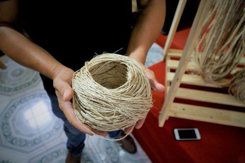Thân cây chuối mang bán thu cả triệu USD