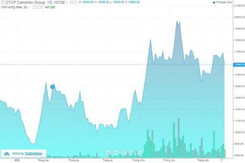 Chi phí lãi vay tăng đột biến, lãi ròng Camimex quý 2 giảm 62%