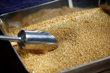 Giá vàng tăng chóng mặt, hàng tỷ USD rót vào các công ty khai thác
