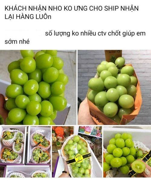 Nho sữa nội địa Trung Quốc “loạn giá”, bán tràn lan chợ mạng