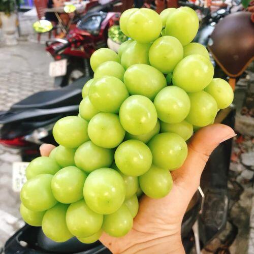 Nho sữa nội địa Trung Quốc “loạn giá”, bán tràn lan chợ mạng