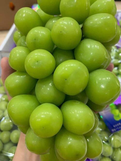 Nho sữa nội địa Trung Quốc “loạn giá”, bán tràn lan chợ mạng