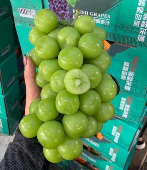 Nho sữa nội địa Trung Quốc “loạn giá”, bán tràn lan chợ mạng
