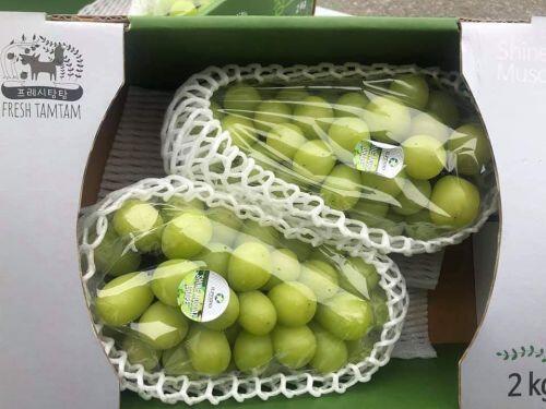 Nho sữa nội địa Trung Quốc “loạn giá”, bán tràn lan chợ mạng