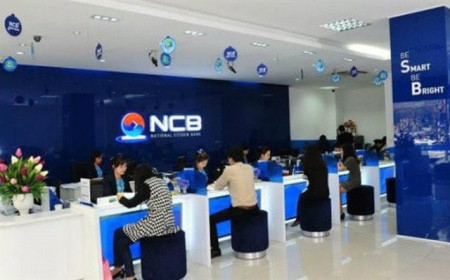 Các khoản xử lý theo đề án tái cấu trúc 'bào mòn' 80% lợi nhuận quý 2 của NVB