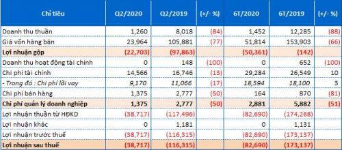 DNY tiếp tục bài ca thua lỗ trong quý 2/2020