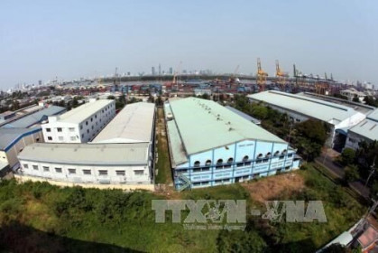 Một doanh nghiệp bất động sản khu công nghiệp sắp chia cổ tức bằng tiền với lệ 50%