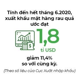 Rau quả chinh phục thị trường khó tính