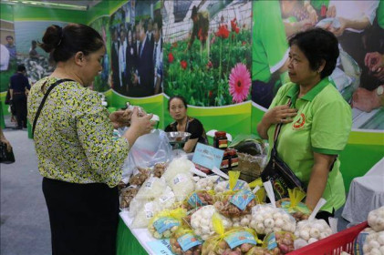 Hà Nội kết nối, giao thương tiêu thụ sản phẩm OCOP với các tỉnh miền núi phía Bắc
