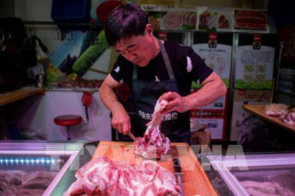 Trung Quốc: Giá thịt lợn tăng do cầu vượt quá cung
