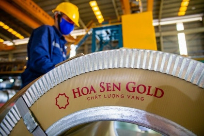 Hoa Sen báo lãi quý 3 gần gấp đôi cùng kỳ, 9 tháng vượt 75% kế hoạch lợi nhuận