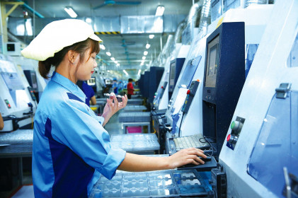 Phát triển chuỗi giá trị bền vững: Chớp thời cơ để doanh nghiệp phục hồi, tạo đà bứt phá