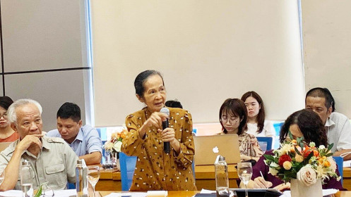 Doanh nghiệp tư nhân đóng góp chưa đến 10% GDP, làm sao có kinh tế thị trường?