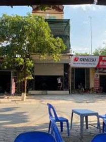Trái đắng cơn sốt lan Phi điệp đột biến: Ôm cả chục tỷ đồng rồi bỏ trốn