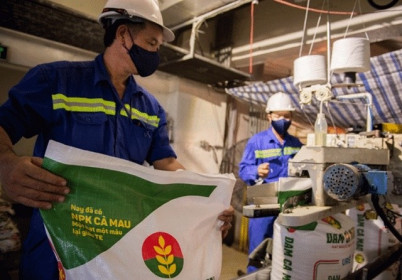 Biên lãi gộp cao nhất trong 7 quý, DCM báo lãi quý 2/2020 tăng 139%