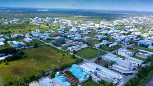 Quý 2, lãi ròng ITA giảm 72%, biên lãi gộp mất hơn 19 điểm %
