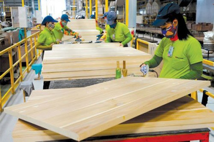 Xuất khẩu gỗ sang EU chờ bứt phá