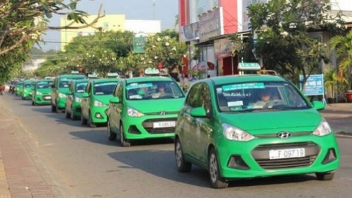 Bước vào cuộc đua "đốt tiền", Mai Linh sẽ đi đâu về đâu?