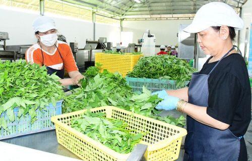 Bình Dương dừng thanh tra Vinamit